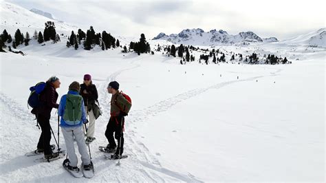 Schneeschuh Bzw Skiwanderung Auf Dem Jufplaun Plateau Schneeschuh