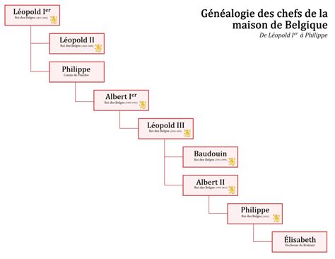 Les Rois Des Belges Journal Essentiel