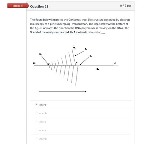 Solved Incorrect Question 28 0 2 Pts The Figure Below Chegg