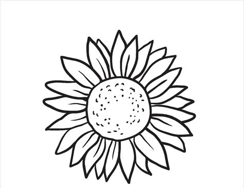 Girasol Impresionante Para Colorear Imprimir E Dibujar Coloringonly