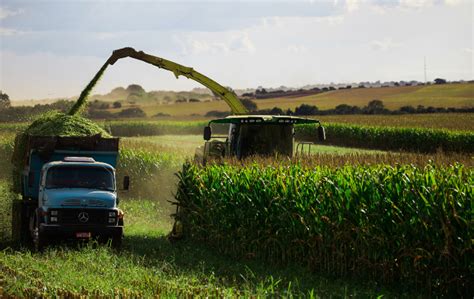 Mapa Estima Valor Bruto Da Produção Agropecuária De 2021 Em Mais De R