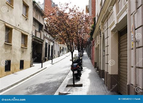 Quiet Street Stock Photo Image Of Trees Scooters Silence 13854012