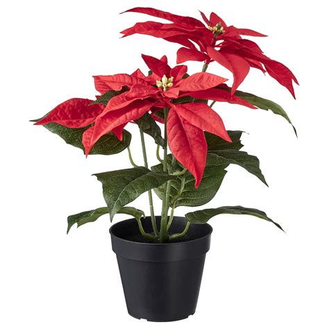 Fejka Artificial Potted Plant In Outdoor Poinsettia Red Ikea