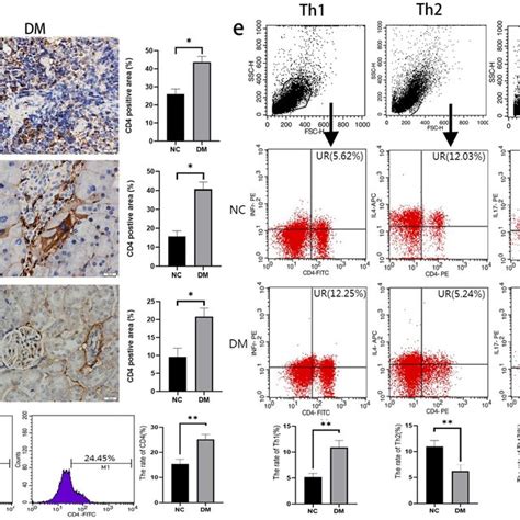 The Change Of The Cd T Cells And Its Subtypes In Different Organs