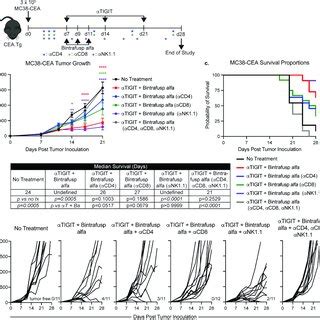 Antitumor Activity And Increase In Overall Survival From Treatment With