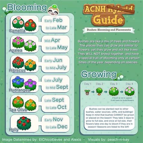 Acnh Flower Guide Layout | sdb3ano silvia helena