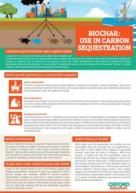 Pdf Biochar Use In Carbon Sequestration Dokumentips