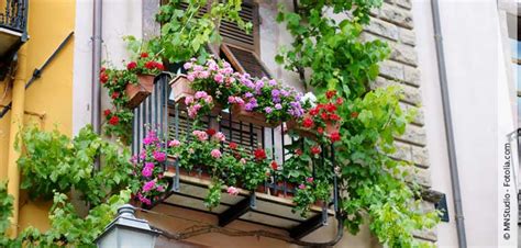 Frühling Auf Dem Balkon Wie Der Blumenkasten Wieder Bunt Wird • Hallo