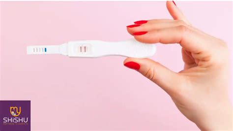 Understanding Pregnancy Urine Test Results A Comprehensive Guide Myshishu