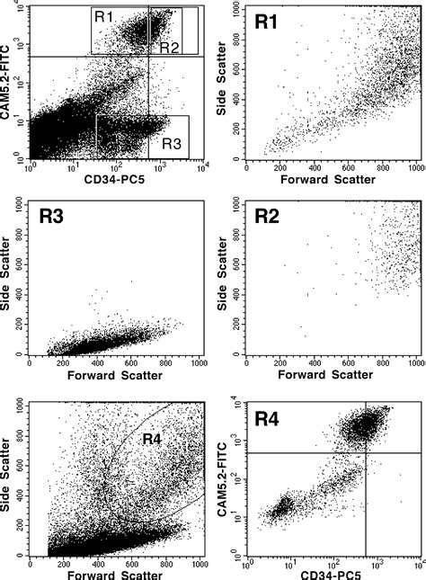 Searching For Common Stem Cells Of The Hepatic And Hematopoietic