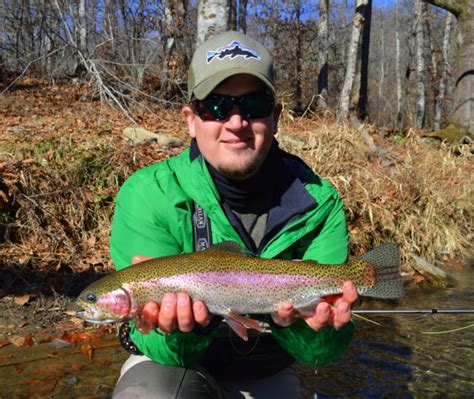 Trout Fishing Guides In Gatlinburg Guided Fly Fishing For Mountain Trout