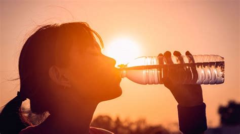 Ola De Calor Se Aproxima A Posadas Pron Stico Extremo Para Los