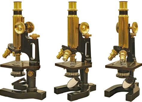 Le Compendium Microscope Krauss Bausch Et Lomb Handle Arm