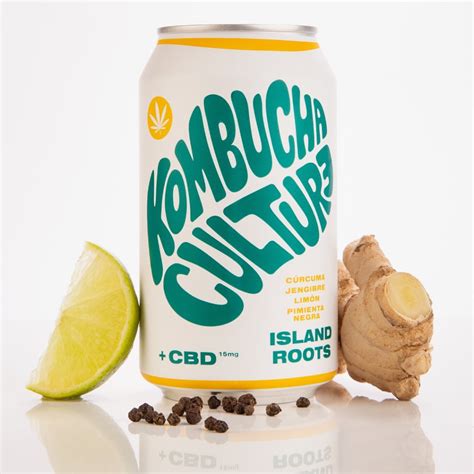 Kombucha Culture Costa Rica On Instagram Sali El Sol De Nuevo