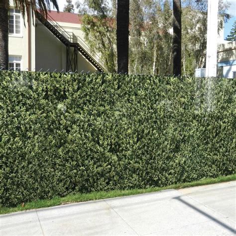 FenceScreen Leaf Hedge Leaf Hedge Graphic Chain-Link Fence Privacy ...