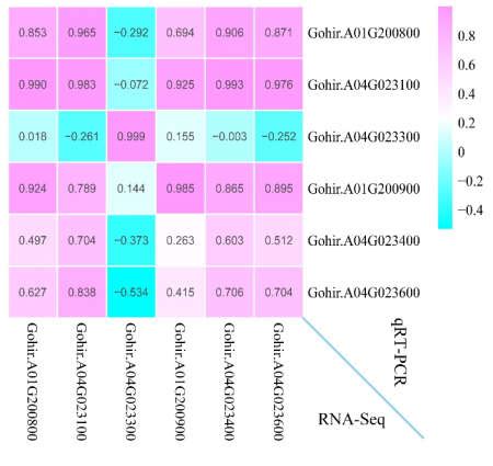 The Correlation Between The RNA Seq Data FPKM And QRT PCR Results 2