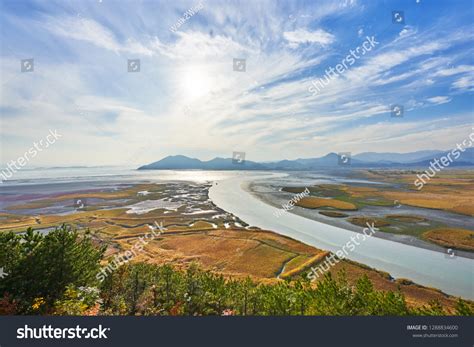 Suncheon Bay Wetland Reserve Korea Stock Photo 1288834600 | Shutterstock