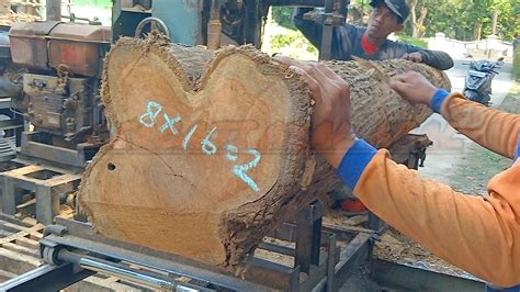 Istimewakayu Jati Di Rajang Bahan Balok Gergaji Bandsaw Rakitan