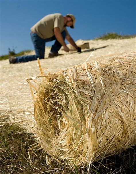 Straw Blanket 8 Foot X 1125 Foot Single Net Rentals Hagerstown Md