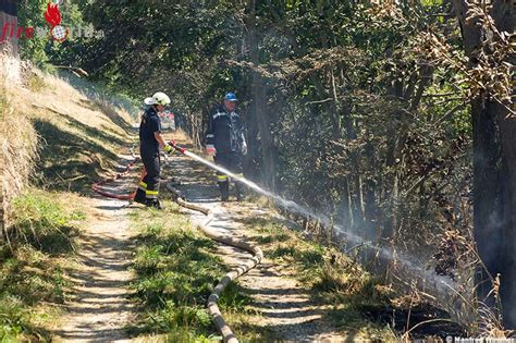 Nö Sieben Feuerwehren bei Waldbrand im Einsatz Video Fireworld at