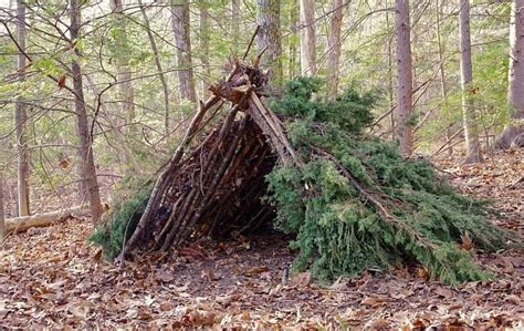 How To Make A Wickiup (Ultimate Guide) | Defiel - Prepper Website