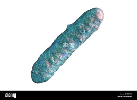 Escherichia Coli D Ausgeschnittene Stockfotos Und Bilder Alamy