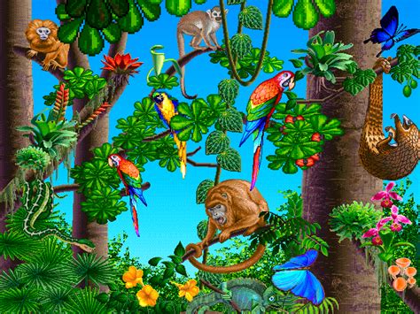 Free Jungle Path Cliparts, Download Free Jungle Path Cliparts png ...