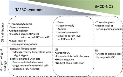 TAFRO Syndrome Hematology Oncology Clinics