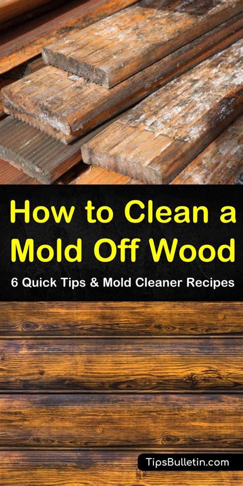 Quick Ways To Clean Mold Off Wood Cleaning Mold House Cleaning