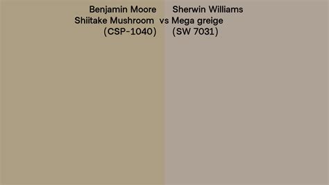 Benjamin Moore Shiitake Mushroom CSP 1040 Vs Sherwin Williams Mega