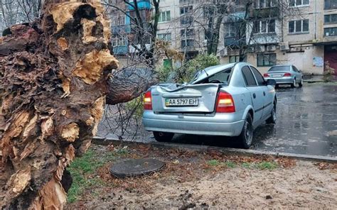 Новини Києва у столиці через негоду падають дерева пошкоджено автівки