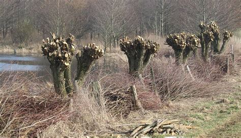 Unser Flächeneigentum Deutsche Wildtier Stiftung