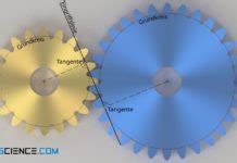 Evolventenverzahnung Tec Science