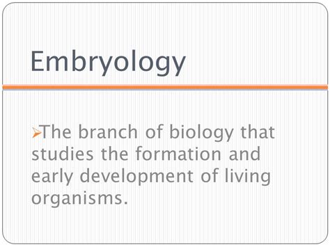 Dh Oral Histology And Embryology Lesson Tammy Fisher Rdh Bs Cells