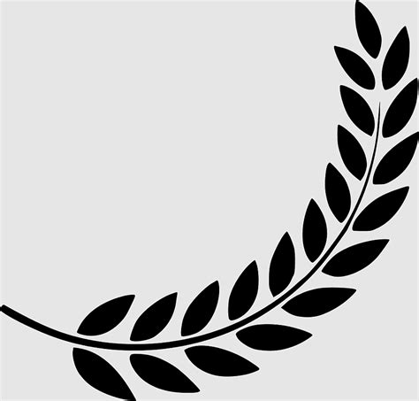 Olive Wreath Bay Laurel Laurel Wreath Wreath Award Plant Stem