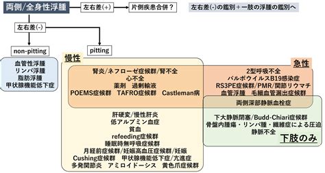 浮腫│不識庵 万年研修医のブログ