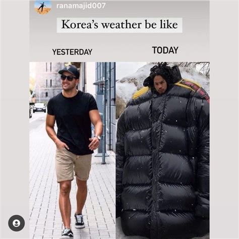 meaning  difference     english language