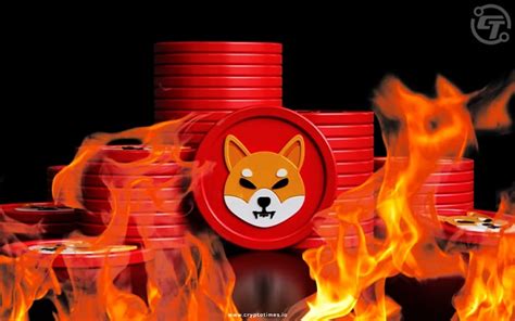 Shiba Inu Launches Shib Burn Testing On Puppynet The Crypto Times