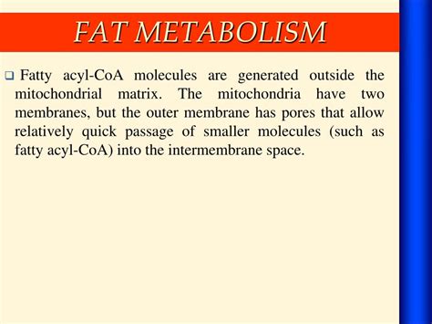 PPT - FAT METABOLISM PowerPoint Presentation, free download - ID:5328221