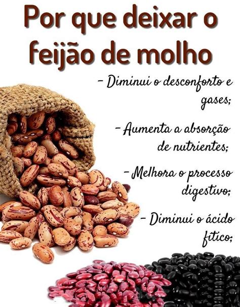 Por Que Deixar o Feijão de Molho Helthy food Health food Dog food