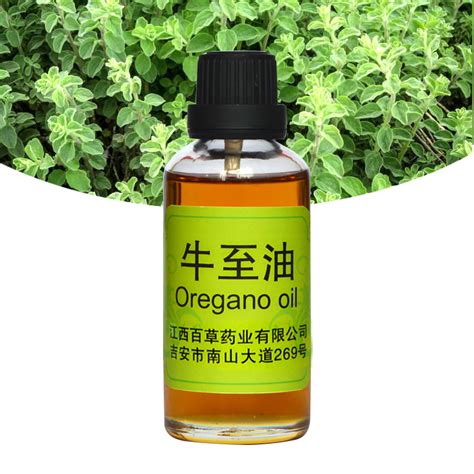 Oregano Oil 70 Carvacrol Origanum Oil Fragrance Oil Food Flavour Base