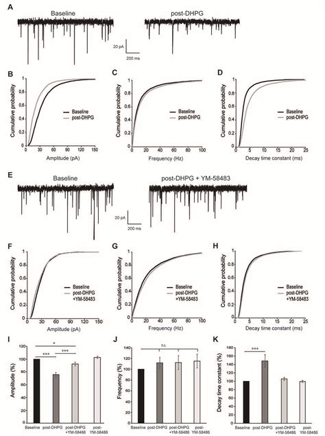 Frontiers Store Operated Calcium Entry Is Required For Mglur