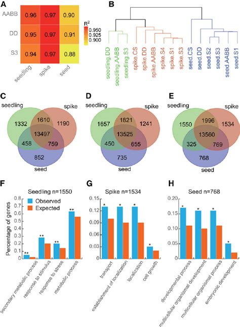 Global Characterization Of Gene Expression Patterns Among Three Tissues