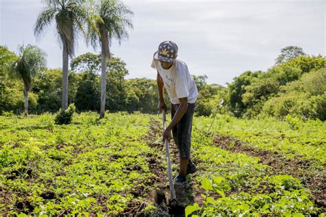 No dia do agricultor prefeito destaca importância do setor e ações do