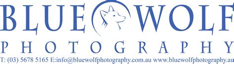 Blue Wolf Photography Pty Ltd School Photo Service Online Ordering