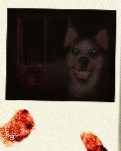 Smile Dog | Creepypasta Wiki | Fandom