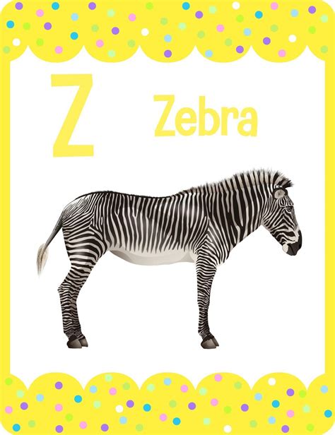 Alphabet Flashcard With Letter Z For Zebra 2763823 Vector Art At Vecteezy