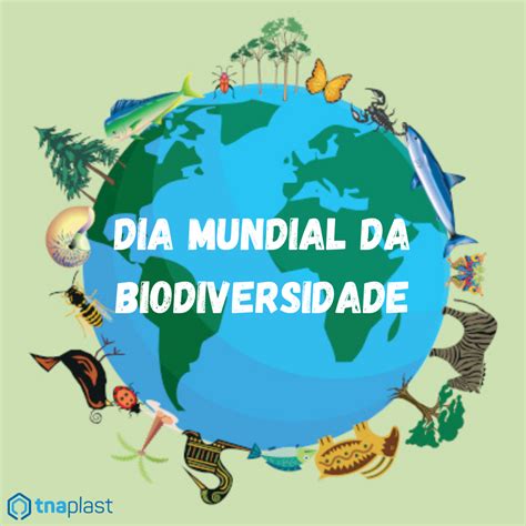 Dia Mundial Da Biodiversidade Preservá La é Pensar No Futuro Do Planeta Tna Plast