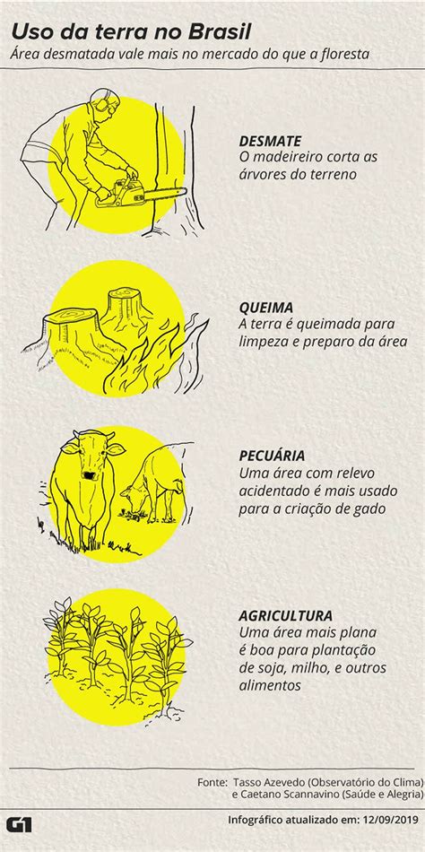 Explique A Relação Da Pecuária Extensiva Com O Desmatamento. - Pasto na Amazônia aumenta 74% em 30 anos; entenda em 3 pontos a relação ...
