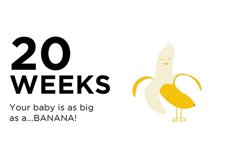 20 Weeks Pregnant: Guide to Being 20 Weeks Pregnant – Happiest Baby